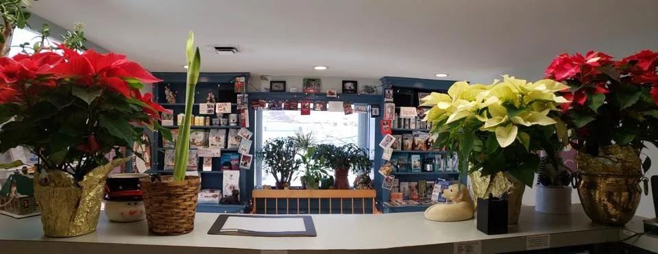 The clinic's front desk and waiting area, decorated with poinsettias