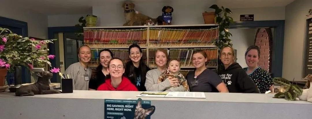 The Avon Veterinary Clinic team gathered together at the front desk